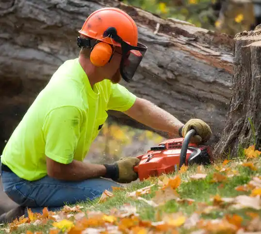 tree services Sleepy Hollow